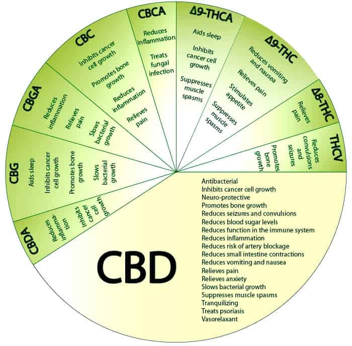 the different cannabinoids