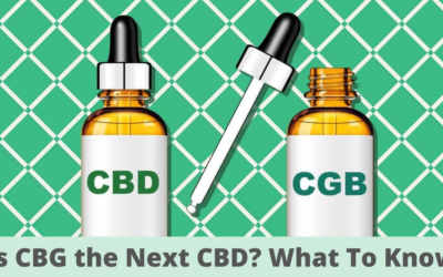 Is CBG the Next CBD? What To Know